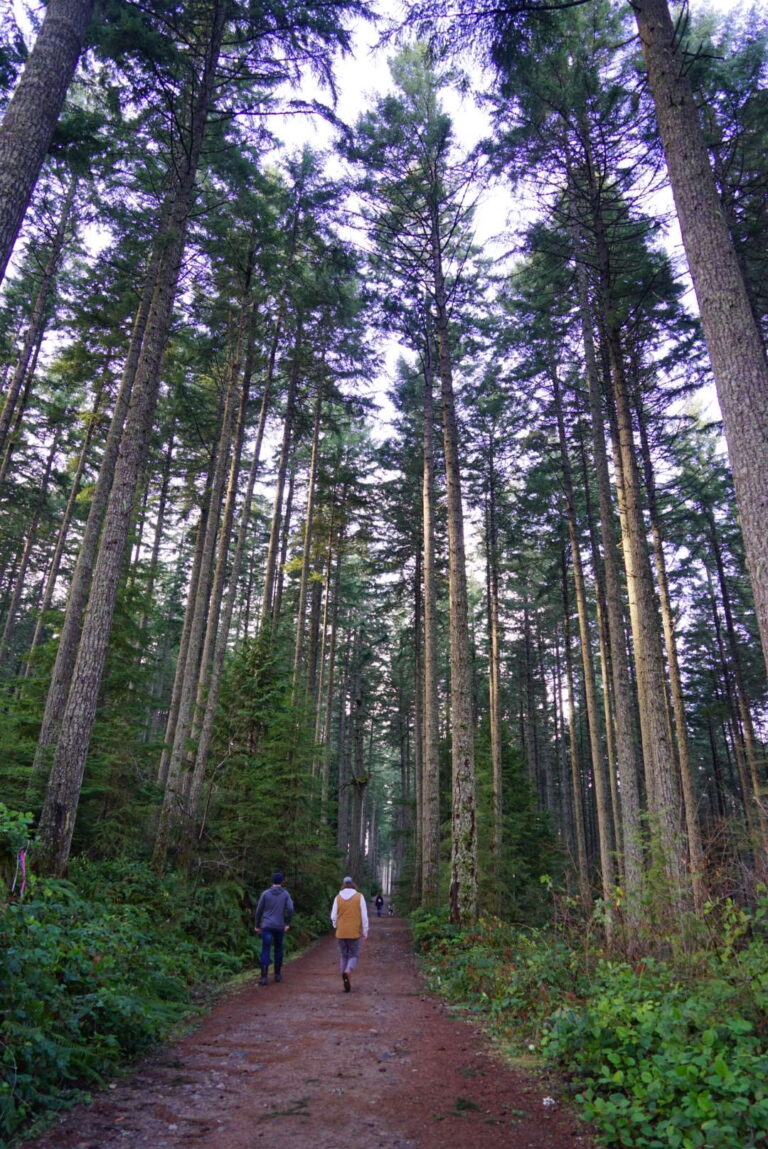 Directions to Ammonite Falls