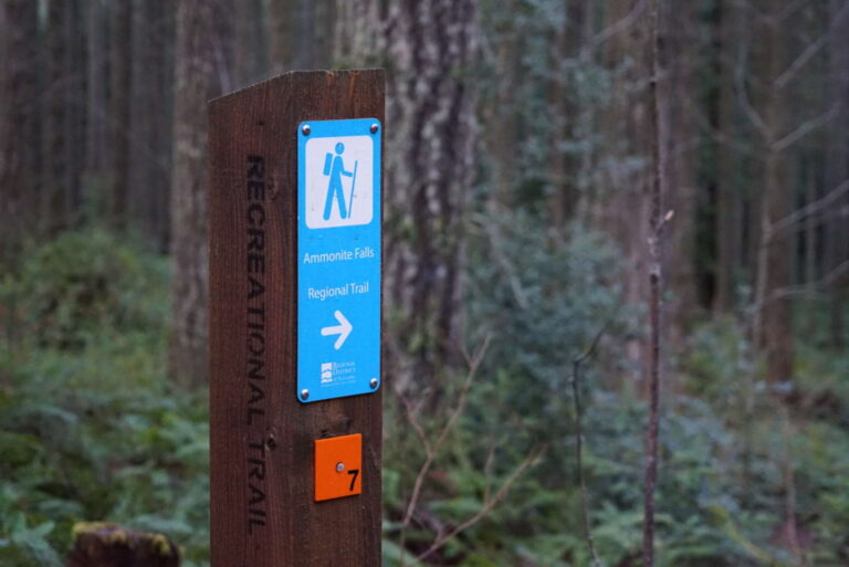 Directions to Ammonite Falls