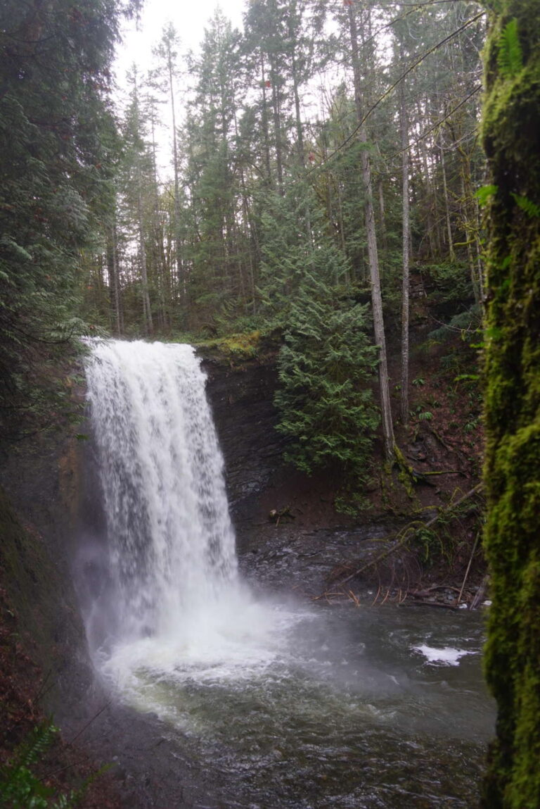 Directions to Ammonite Falls