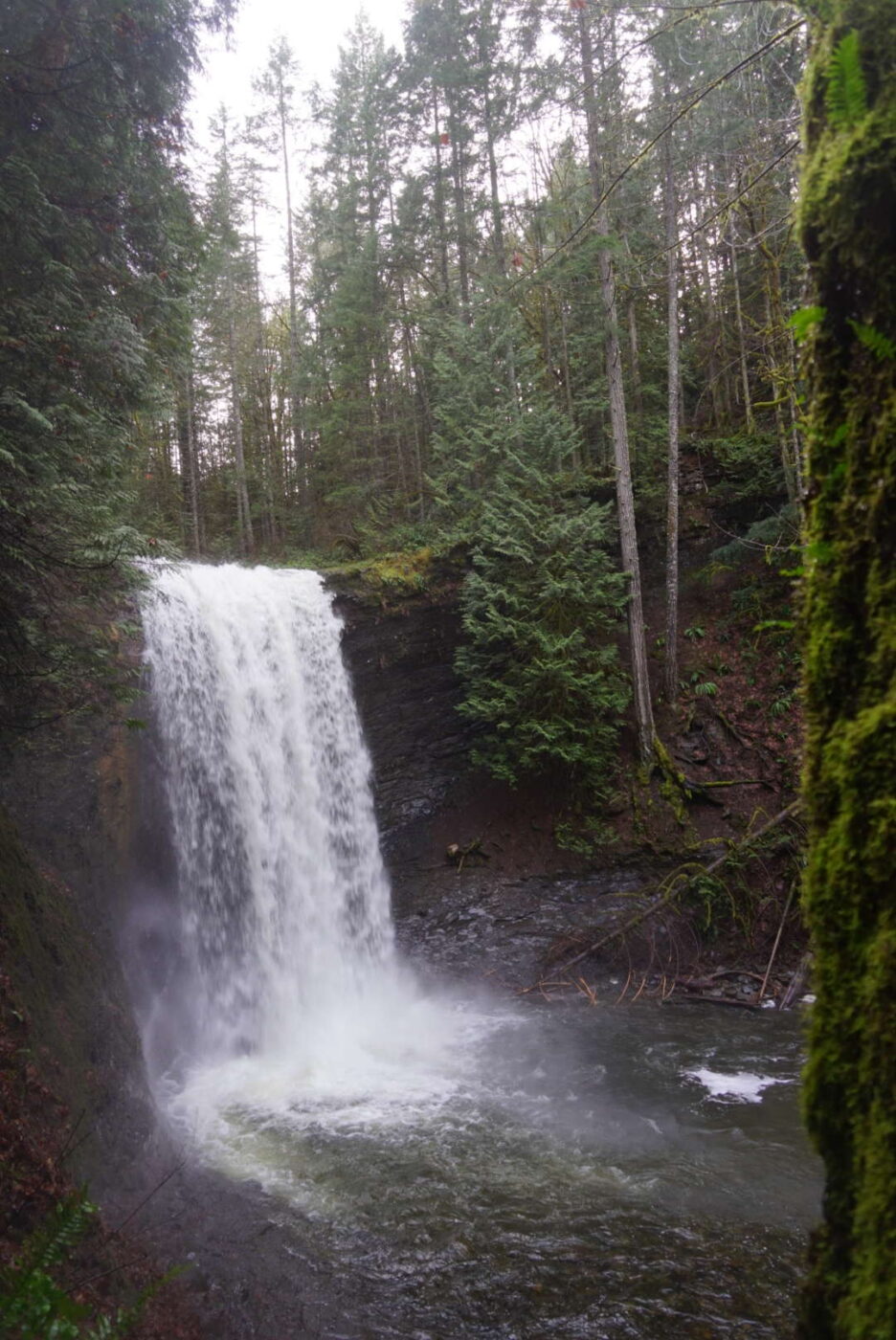 Directions to Ammonite Falls